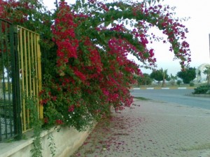 Farkına Varınca Anladım