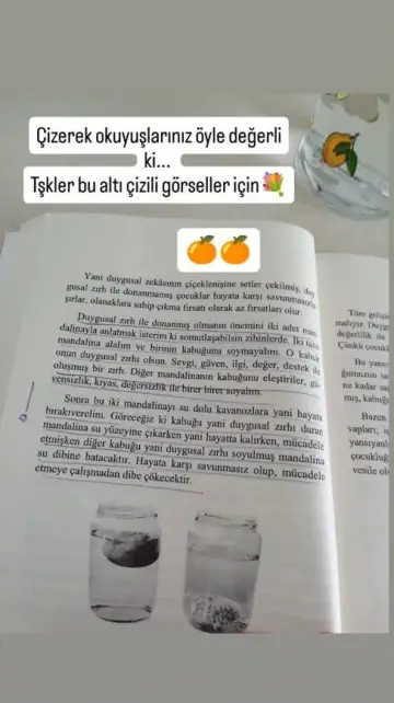 Okurumuzun kitaplarımızla paylaştığı Instagram hikâyesi (89)