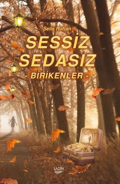 Sessiz Sedasız Birikenler kitap kapağı
